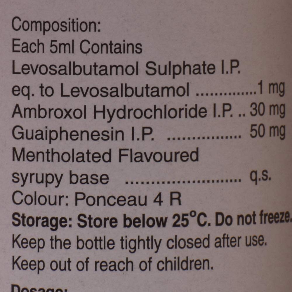 Viscodyne LS Expectorant